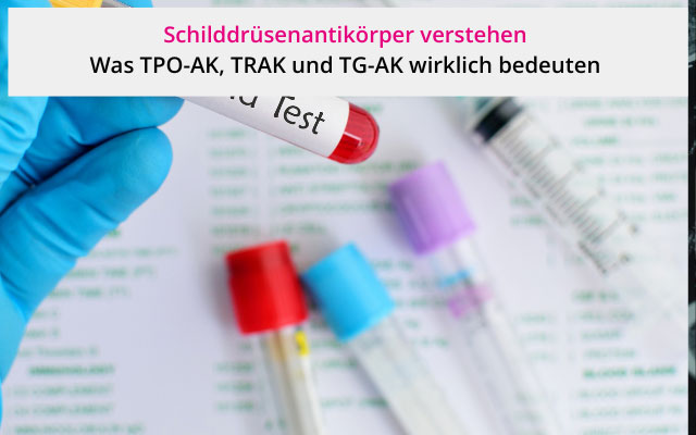 Schilddrüsenantikörper verstehen: Was TPO-AK, TRAK und TG-AK wirklich bedeuten